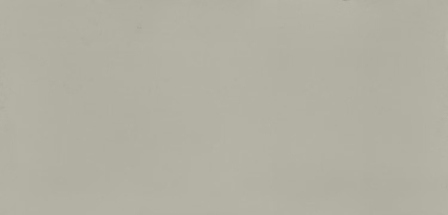 Cincel Grey - Silestone