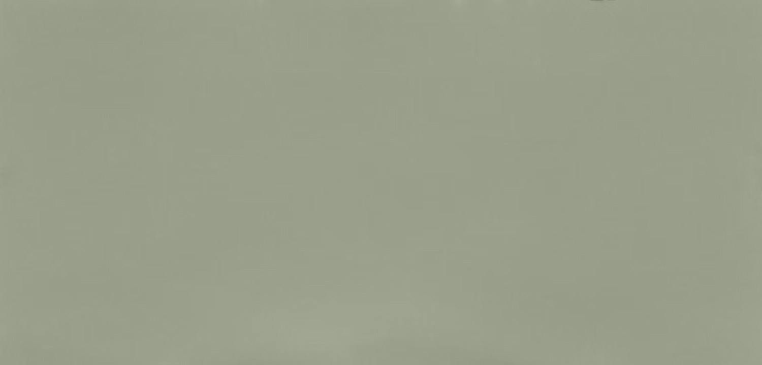 Posidonia Green - Silestone